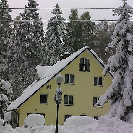 Apartamenty Grapa Szum Rzeki Parking Free Wisla Exterior photo