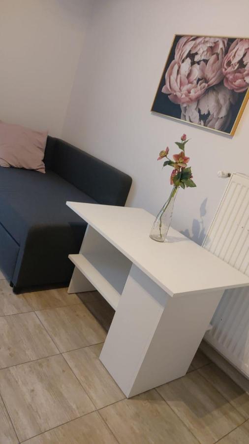 Apartamenty Grapa Szum Rzeki Parking Free Wisla Exterior photo