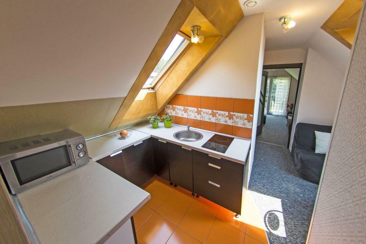 Apartamenty Grapa Szum Rzeki Parking Free Wisla Exterior photo